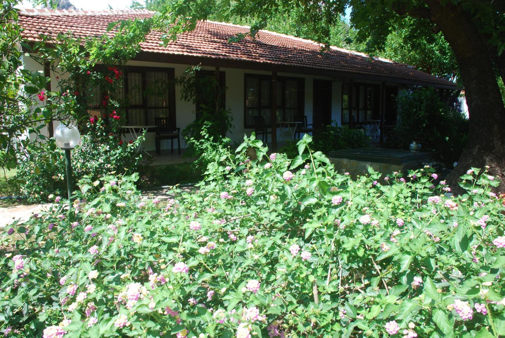 Dolunay Apart Hotel Cirali Exterior photo
