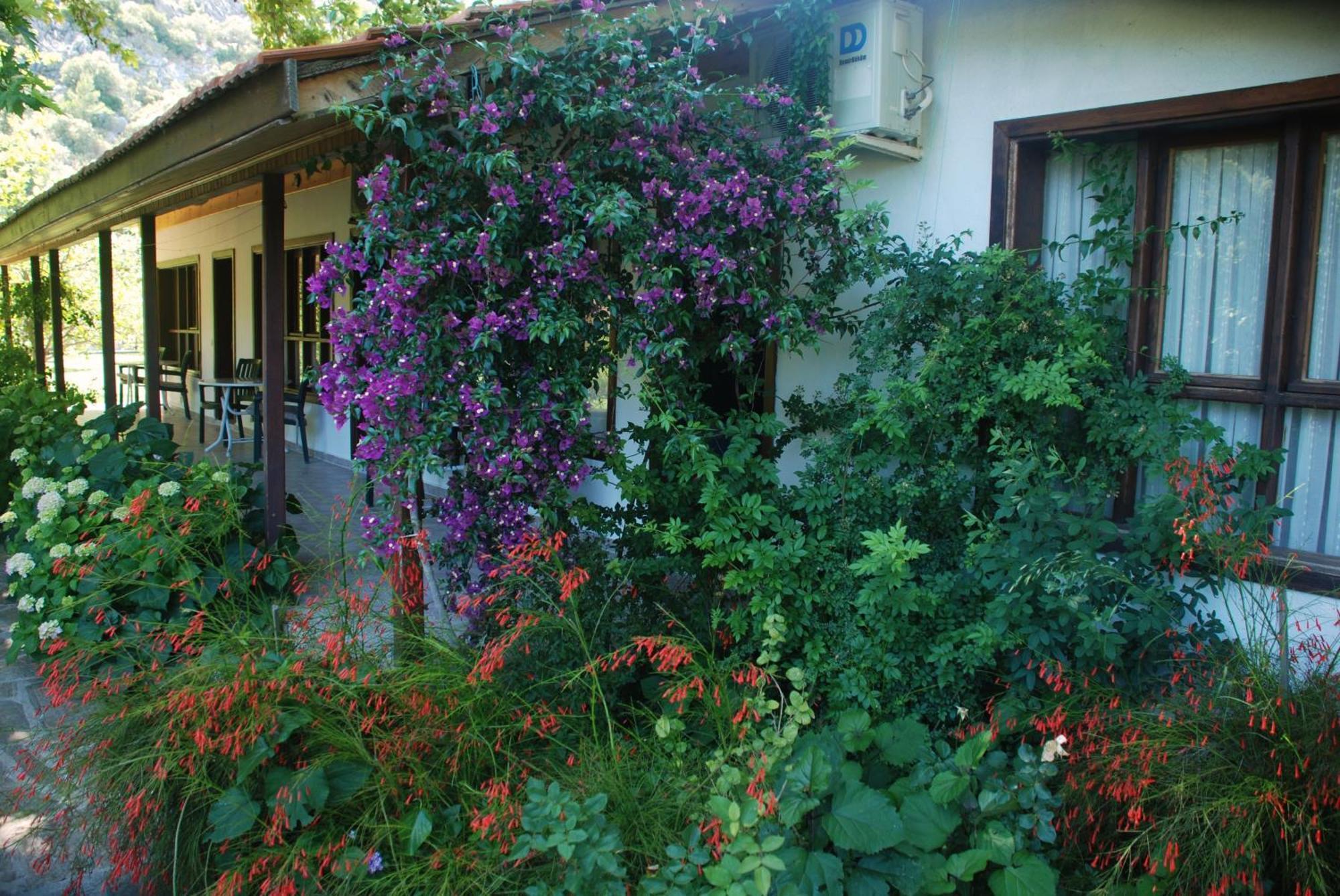 Dolunay Apart Hotel Cirali Exterior photo