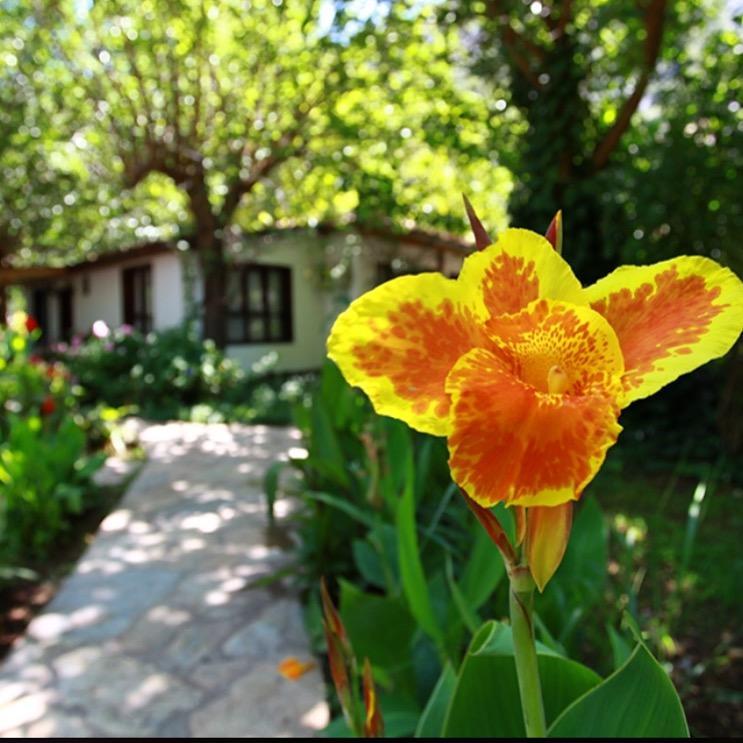 Dolunay Apart Hotel Cirali Exterior photo