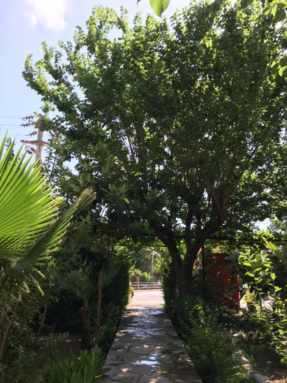 Dolunay Apart Hotel Cirali Exterior photo