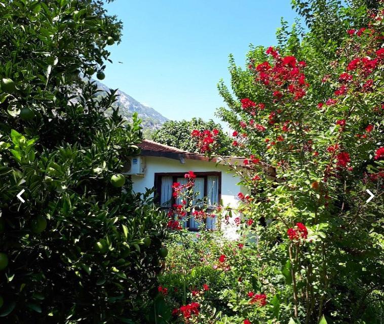 Dolunay Apart Hotel Cirali Exterior photo