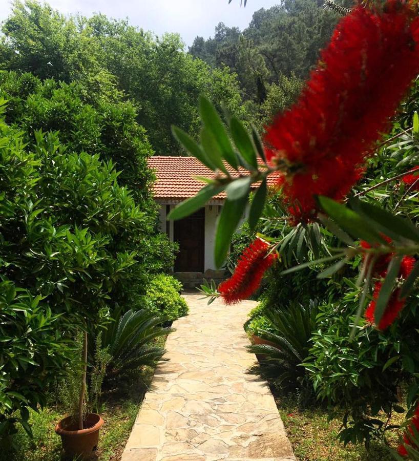 Dolunay Apart Hotel Cirali Exterior photo